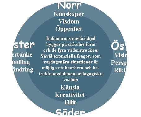 Medicinhjul